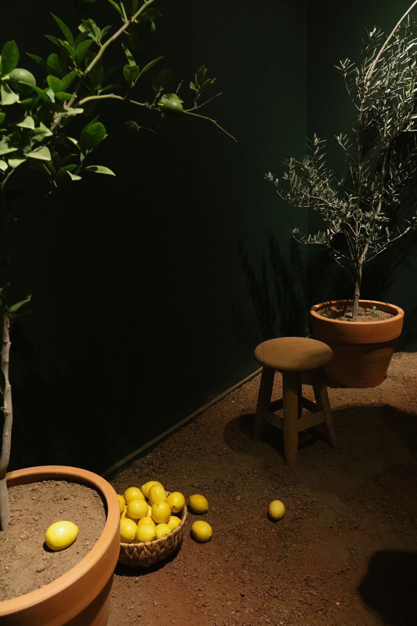 Tote de toile pose sur une table, citrons a cote